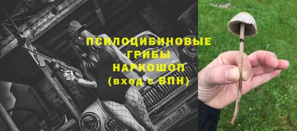 каннабис Белокуриха