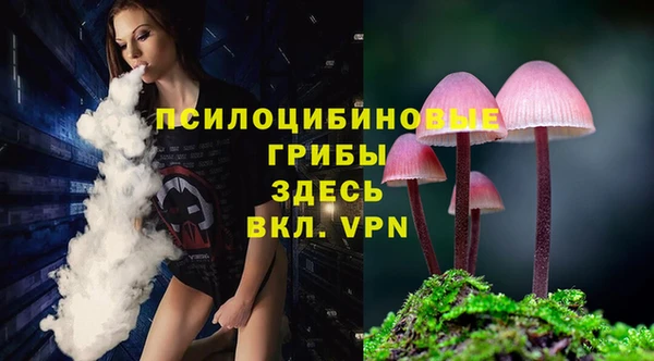 каннабис Белокуриха