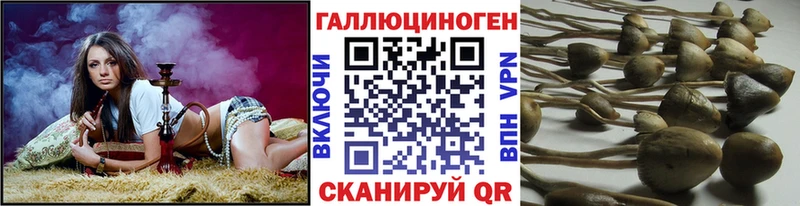 Галлюциногенные грибы прущие грибы Гремячинск